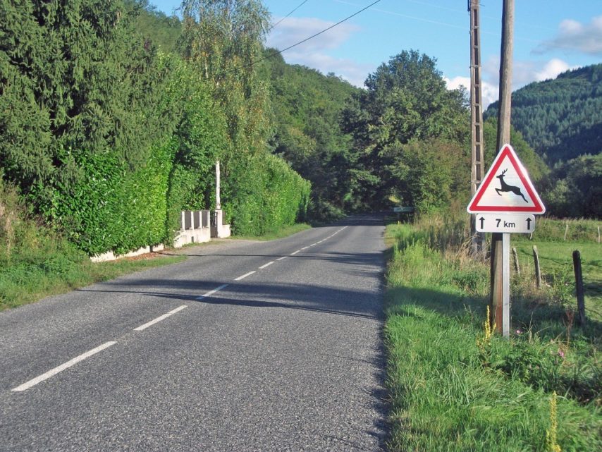 Risque d'amende: Mettre en place un triangle de panne - 20 minutes